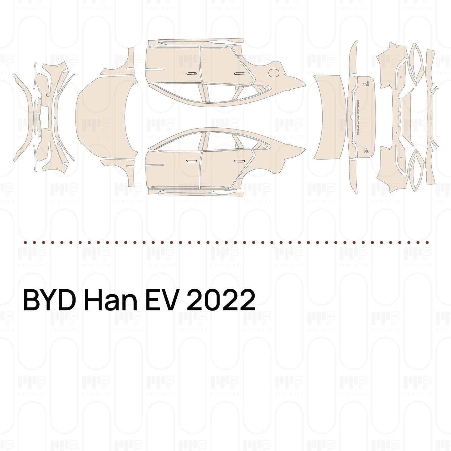 Pre-CutPPFBYDHanEV2022