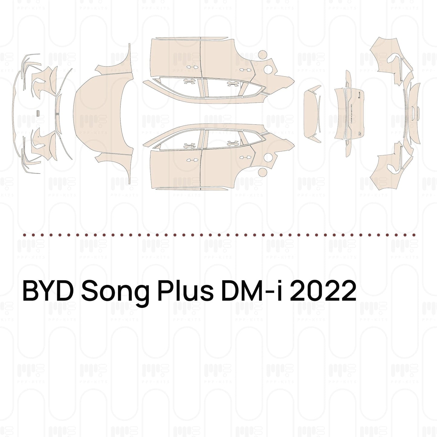 Pre-CutPPFBYDSongPlusDM-i2022