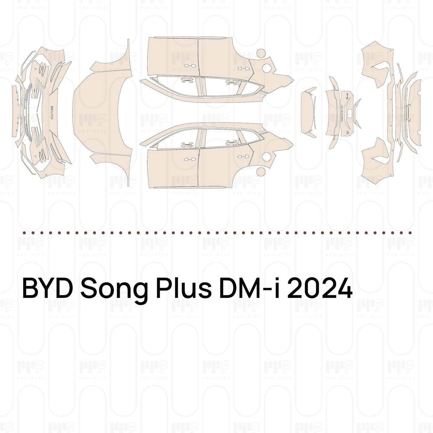 Pre-CutPPFBYDSongPlusDM-i2024