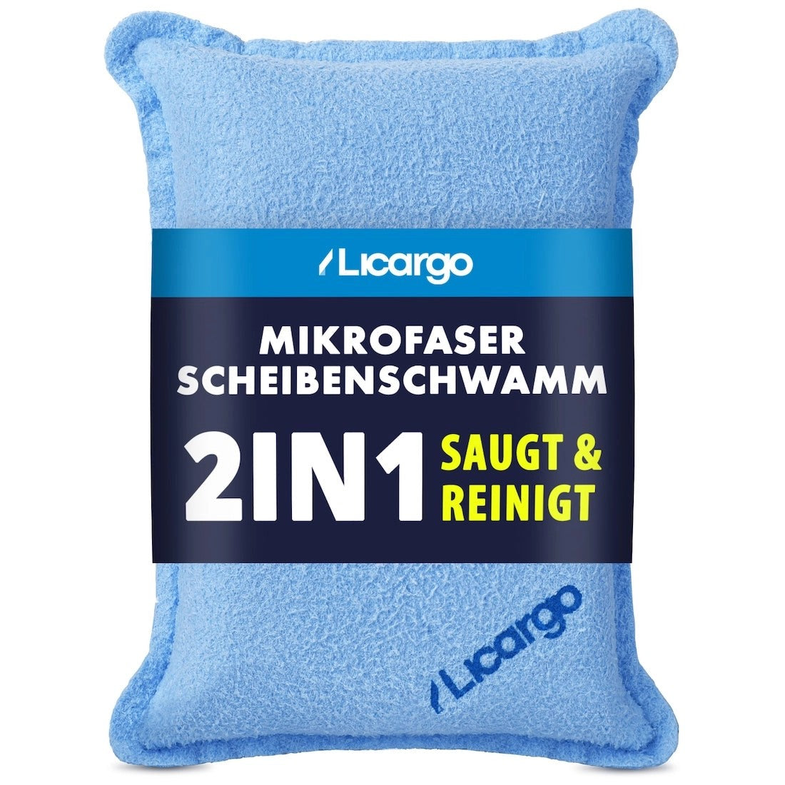 Scheibenschwamm