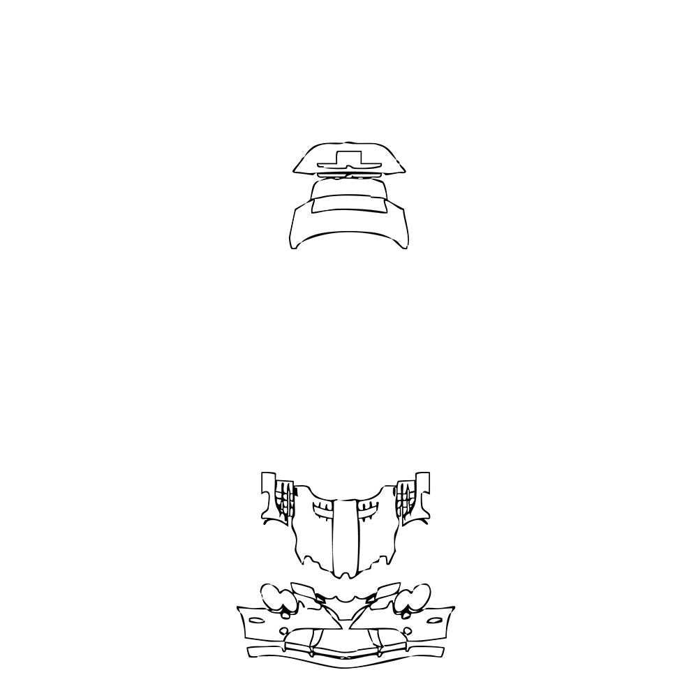 PassgenaueLackschutzfolienPPFMercedes-BenzSLRSLRMcLaren2005
