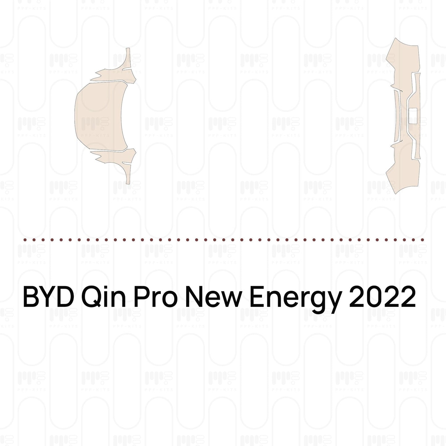 Pre-CutPPFBYDQinProNewEnergy2022