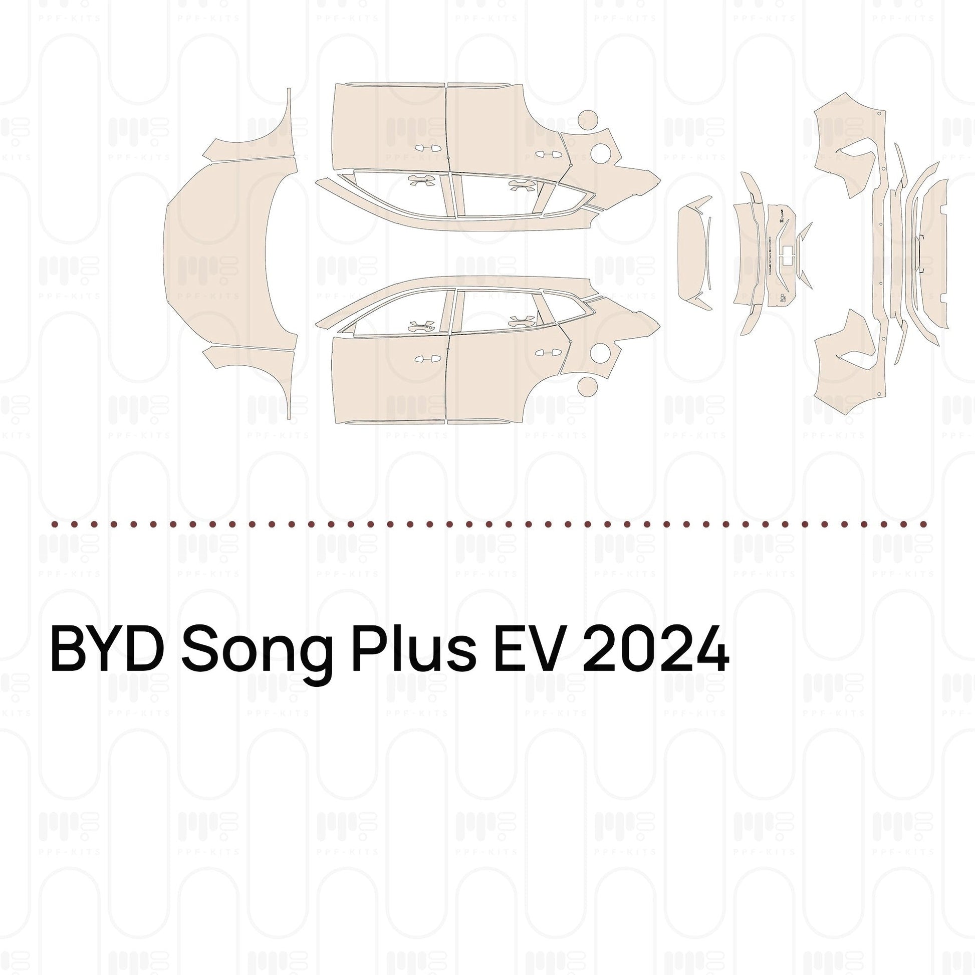Pre-CutPPFBYDSongPlusEV2024