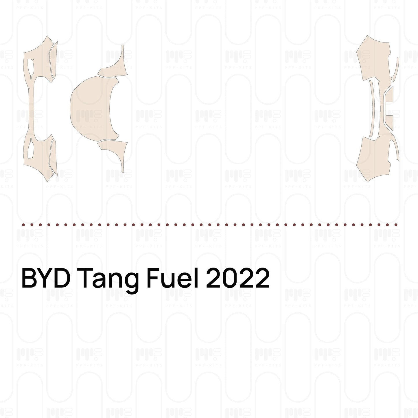 Pre-CutPPFBYDTangFuel2022