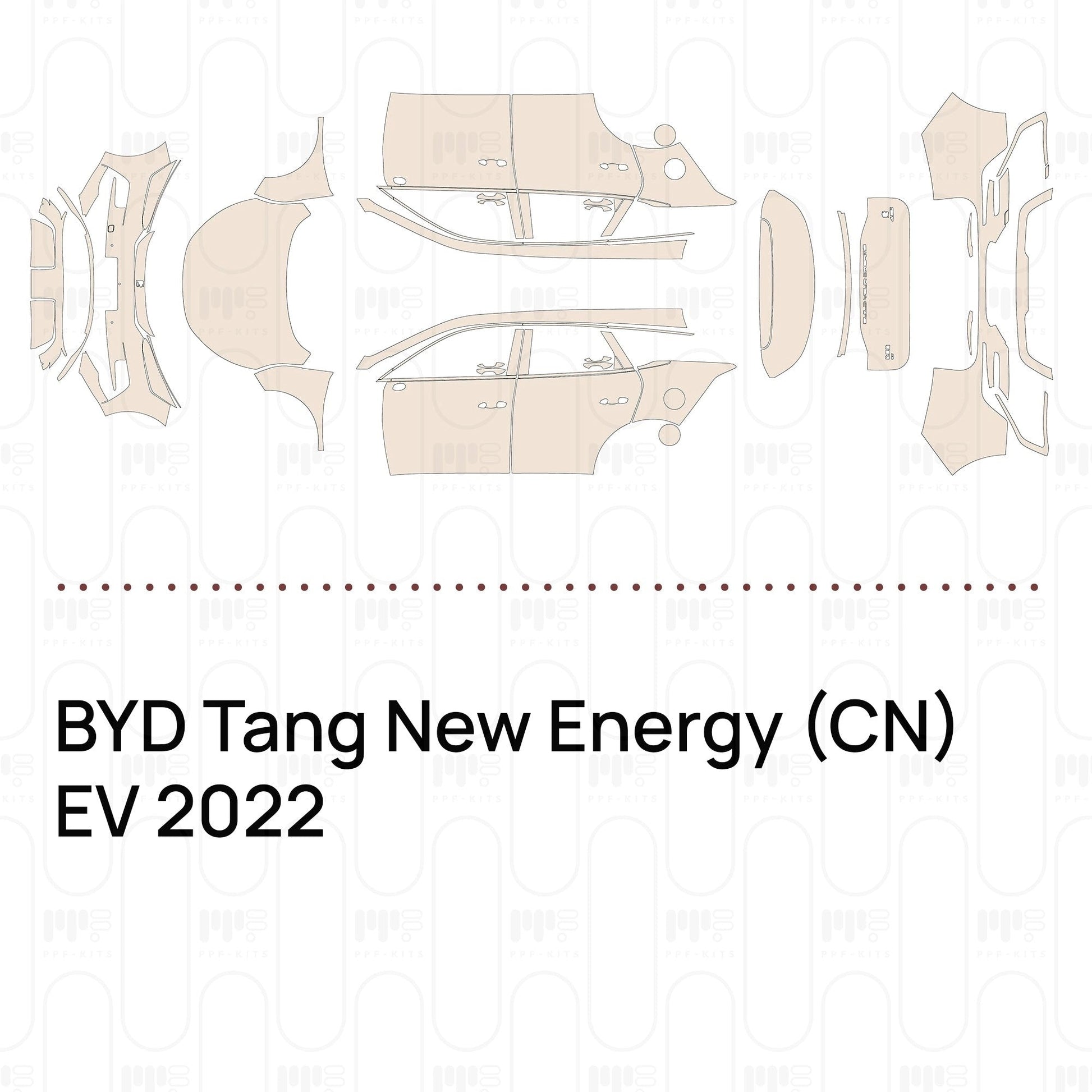 Pre-CutPPFBYDTangNewEnergy(CN)EV2022